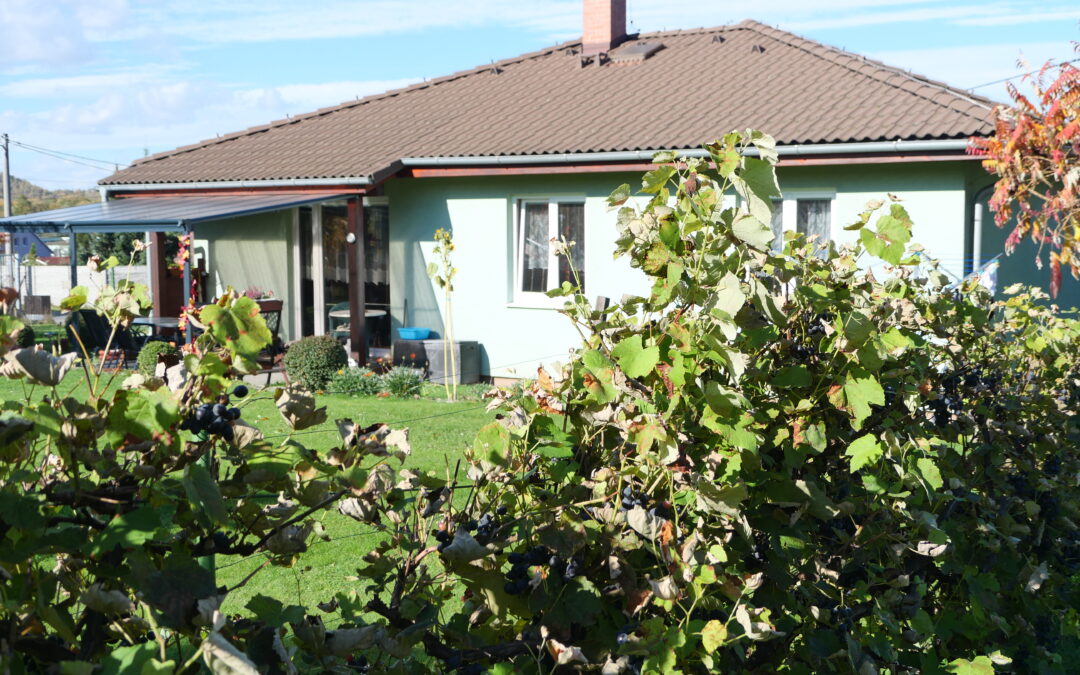 Ostravsko – Atypický bungalov s vůní vinné révy